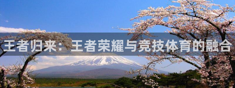 泛亚电竞app官网入口：王者归来：王者荣耀与竞技体育的融合