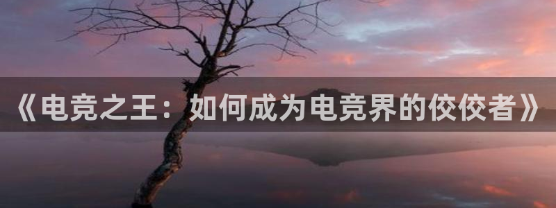 泛亚电竞lol官网：《电竞之王：如何成为电竞界的佼佼者》