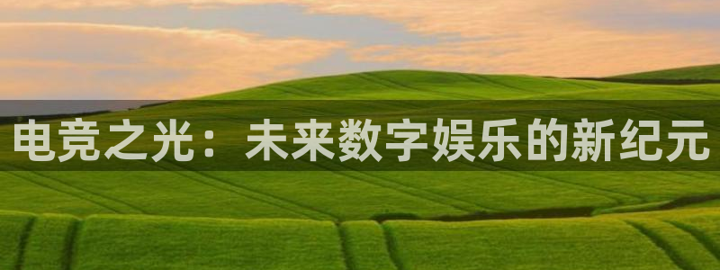 im电竞和泛亚电竞哪个好：电竞之光：未来数字娱乐的新纪元