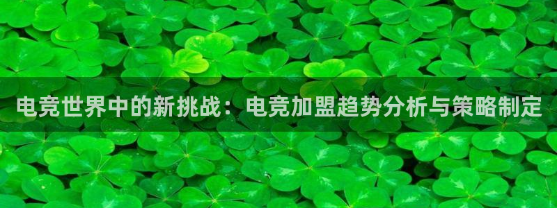 泛亚电竞手机端：电竞世界中的新挑战：电竞加盟趋势分析与策略制定