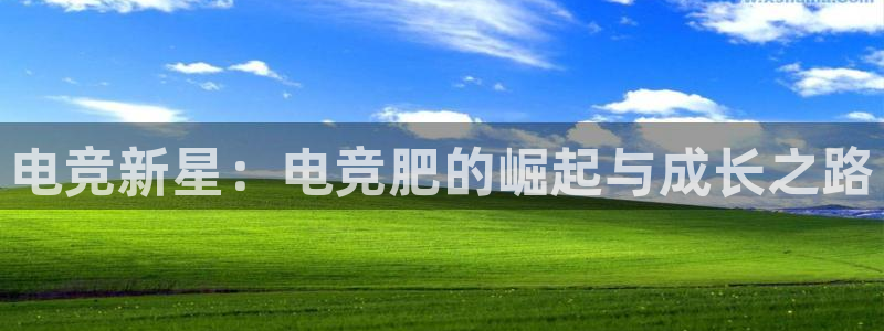 泛亚电竞综合APP：电竞新星：电竞肥的崛起与成长之路