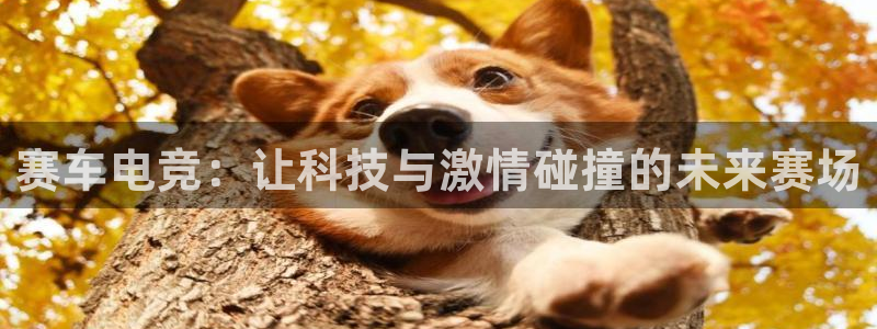下载泛亚电竞app：赛车电竞：让科技与激情碰撞的未来赛场