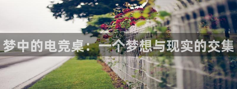 im电竞和泛亚电竞有什么区别：梦中的电竞桌：一个梦想与现实的交集