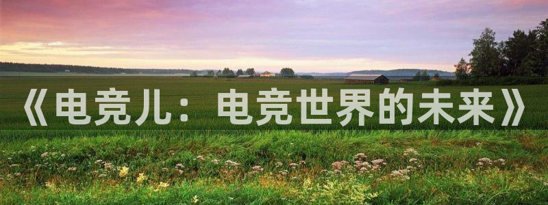 有泛亚电竞的平台：《电竞儿：电竞世界的未来》