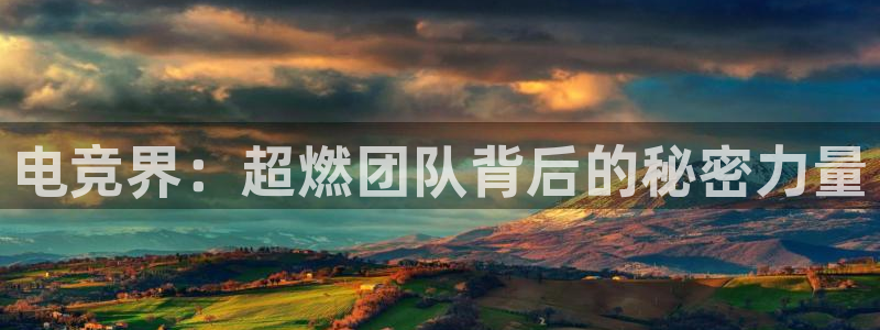 泛亚电竞是什么意思：电竞界：超燃团队背后的秘密力量