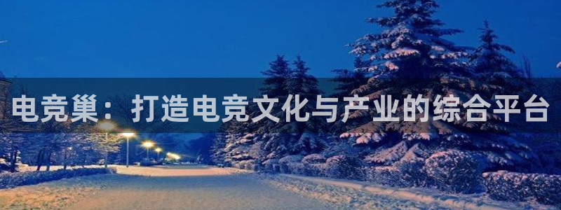 泛亚电竞平台官方最新版：电竞巢：打造电竞文化与产业的综合平台