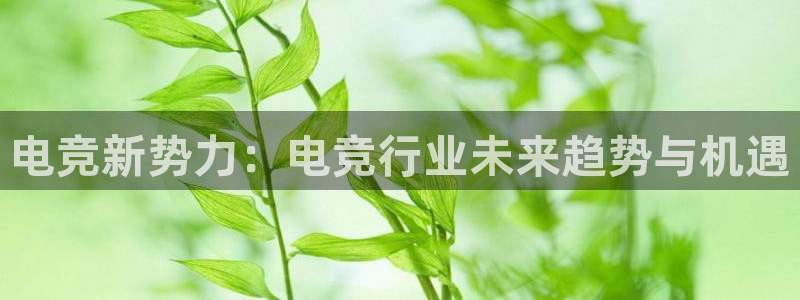 泛亚电竞是什么意思：电竞新势力：电竞行业未来趋势与机遇