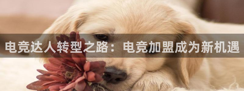 有泛亚电竞的平台：电竞达人转型之路：电竞加盟成为新机遇