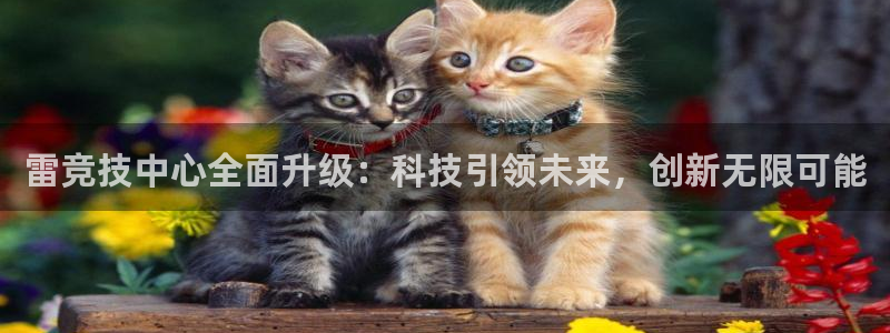 泛亚电竞内部：雷竞技中心全面升级：科技引领未来，创新无限可能
