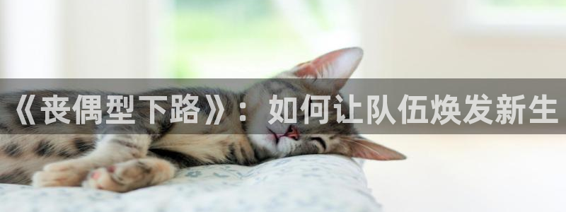 im电竞和泛亚电竞有什么区别：《丧偶型下路》：如何让队伍焕发新生