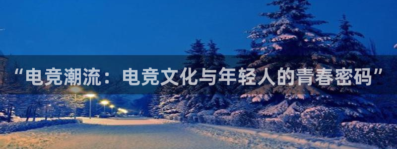泛亚电竞平：“电竞潮流：电竞文化与年轻人的青春密码”