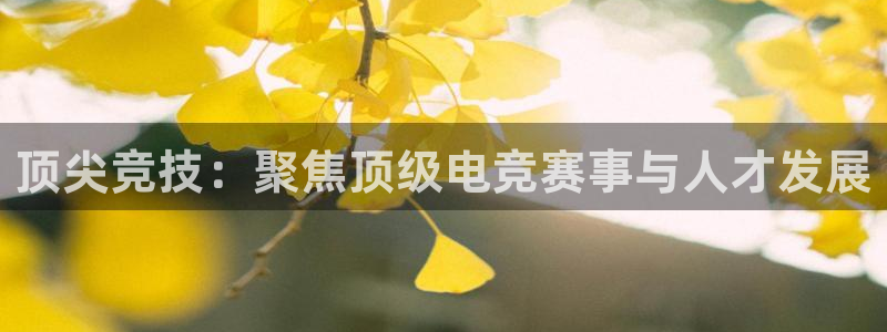 泛亚电竞是什么：顶尖竞技：聚焦顶级电竞赛事与人才发展