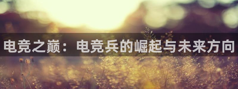 泛亚电竞平台手机版：电竞之巅：电竞兵的崛起与未来方向