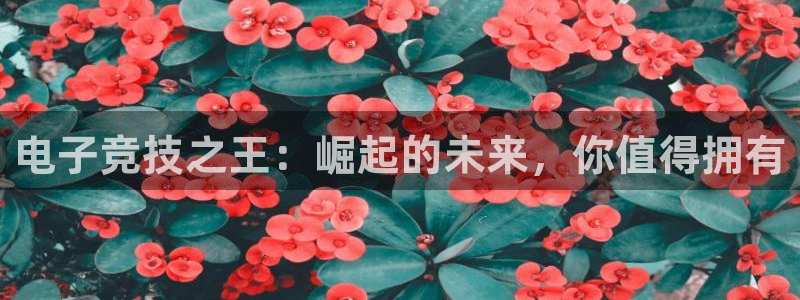 泛亚电竞邀98db in：电子竞技之王：崛起的未来，你值得拥有