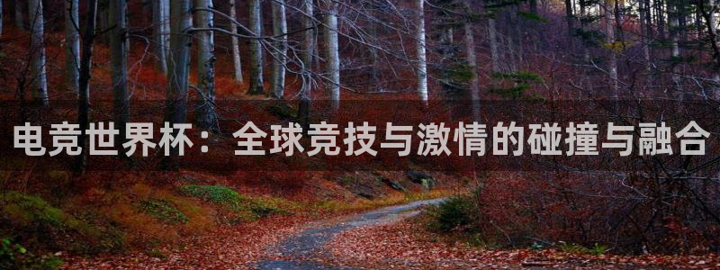 泛亚电竞平台app：电竞世界杯：全球竞技与激情的碰撞与融合