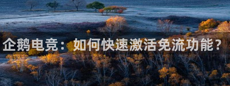 泛亚电竞是什么：企鹅电竞：如何快速激活免流功能？