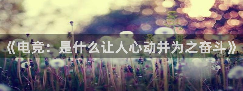 泛亚电竞精选：《电竞：是什么让人心动并为之奋斗》